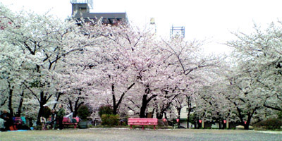 asakusa.jpg 400×200 49K